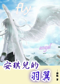 安琪儿的羽翼小说封面